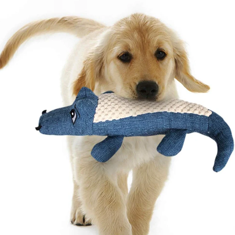 Guide to Choosing the Best Dog Toys