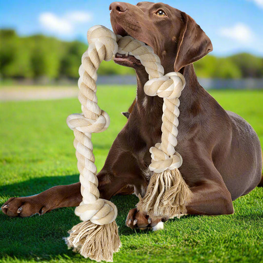 PETSWOL Dog Rope Toy for Dogs Who Love to Chew | Safe and Durable for Large and Medium Dogs