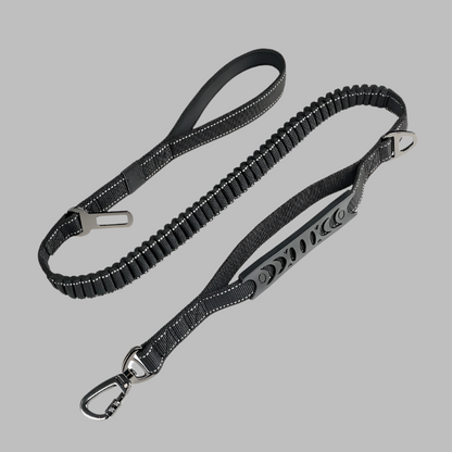 2 in 1 Dog  Leash Car Harness Ride & Restrain lead