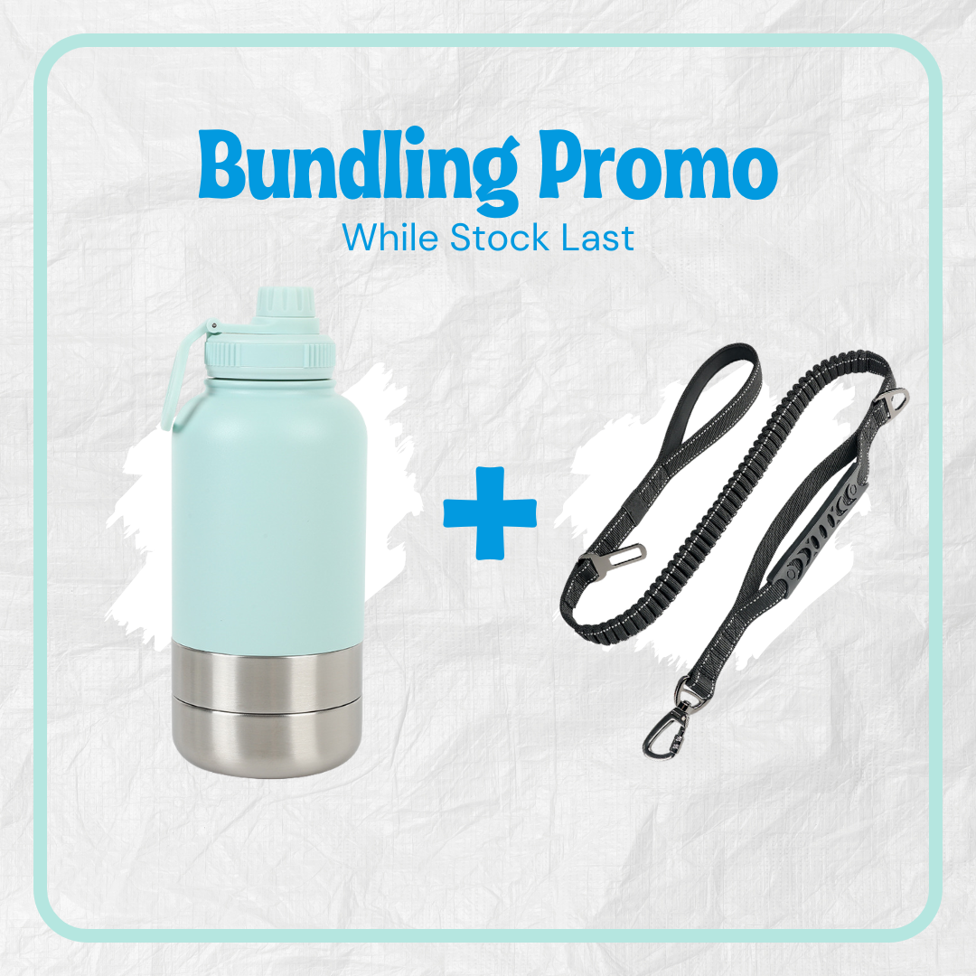Walk Essentials Bundle & Save : Hydration & Lead